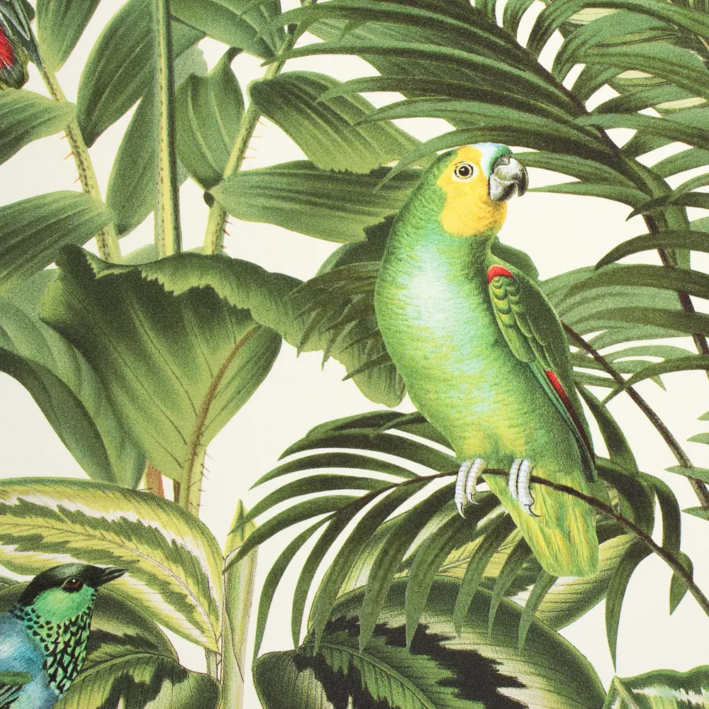 Обои флизелиновые Rasch Freundin зелёные 0.53 м 439533 STLM-2038096 - Вид №1