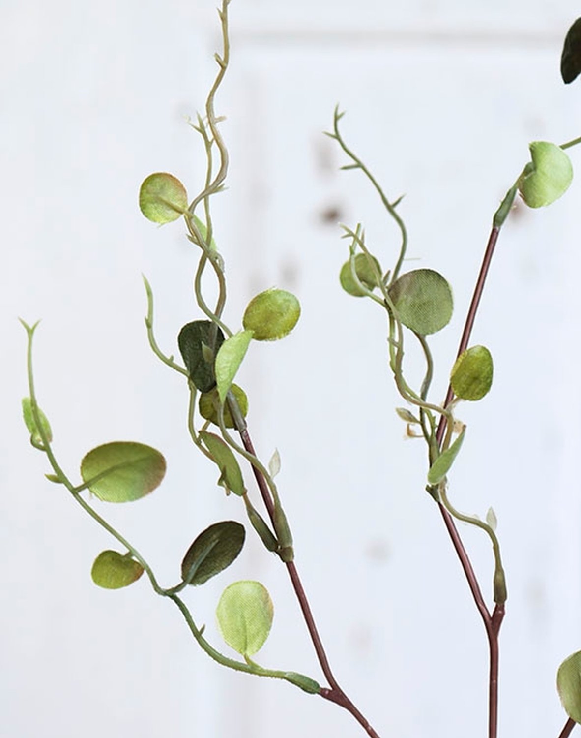 6998 883 a2 Ветка очитка искусственная, 35 см, зеленая H-andreas  - Вид №4