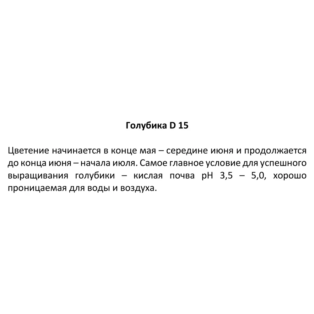 Голубика Блюкроп ø15 h35 см 84772869 STLM-2018993 Santreyd  - Вид №1