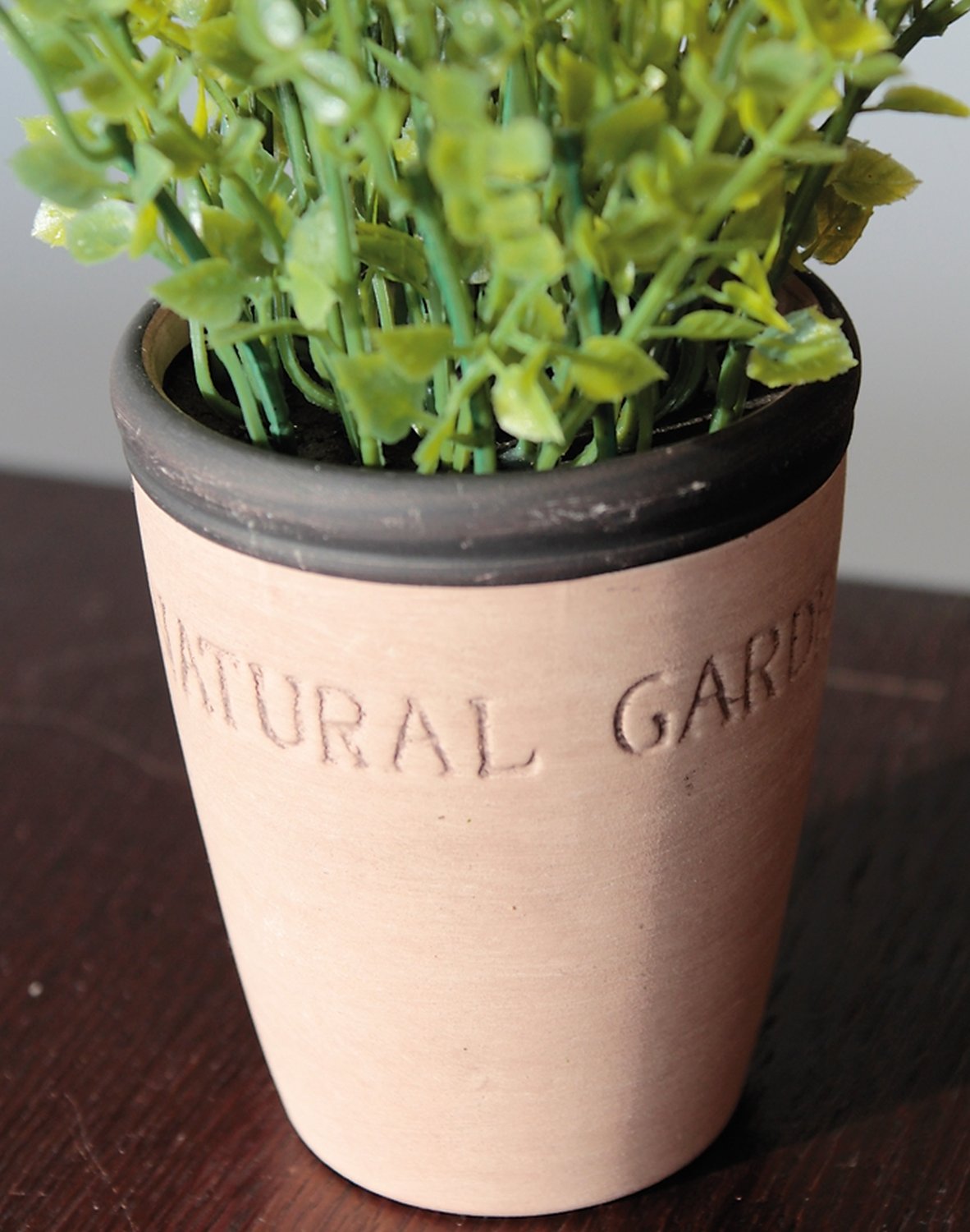 6122 883 a2 Искусственный тимьян в глиняном горшочке, синтетический материал, 20 см, зеленый H-andreas  - Вид №1