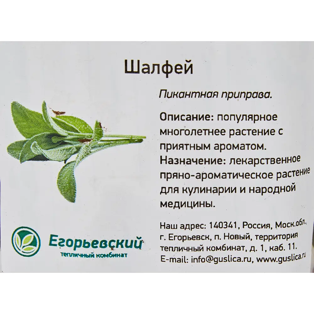 Шалфей 9x10 см Santreyd STLM-2082472 - Вид №1