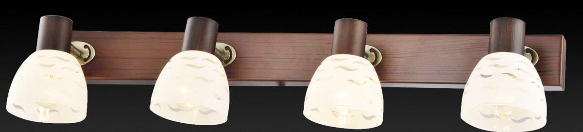 Спот настенный белый с 4 плафонами Toplight Shayla TL3730Y-04BB TOPLIGHT SHAYLA 00-3891226 Белый  - Вид №2