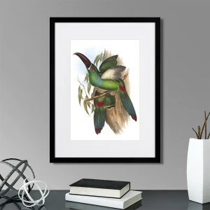 Картина в раме 32х42 см Toucans №5, 1849г. КАРТИНЫ В КВАРТИРУ  264537 Желтый;зеленый;коричневый;разноцветный