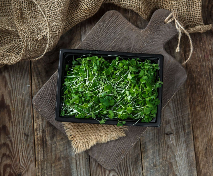 4680 Микрозелень брокколи Вкусляндия  - Вид №2