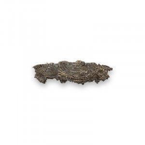 EA1033 Fungi PULLCAST Earth Collection