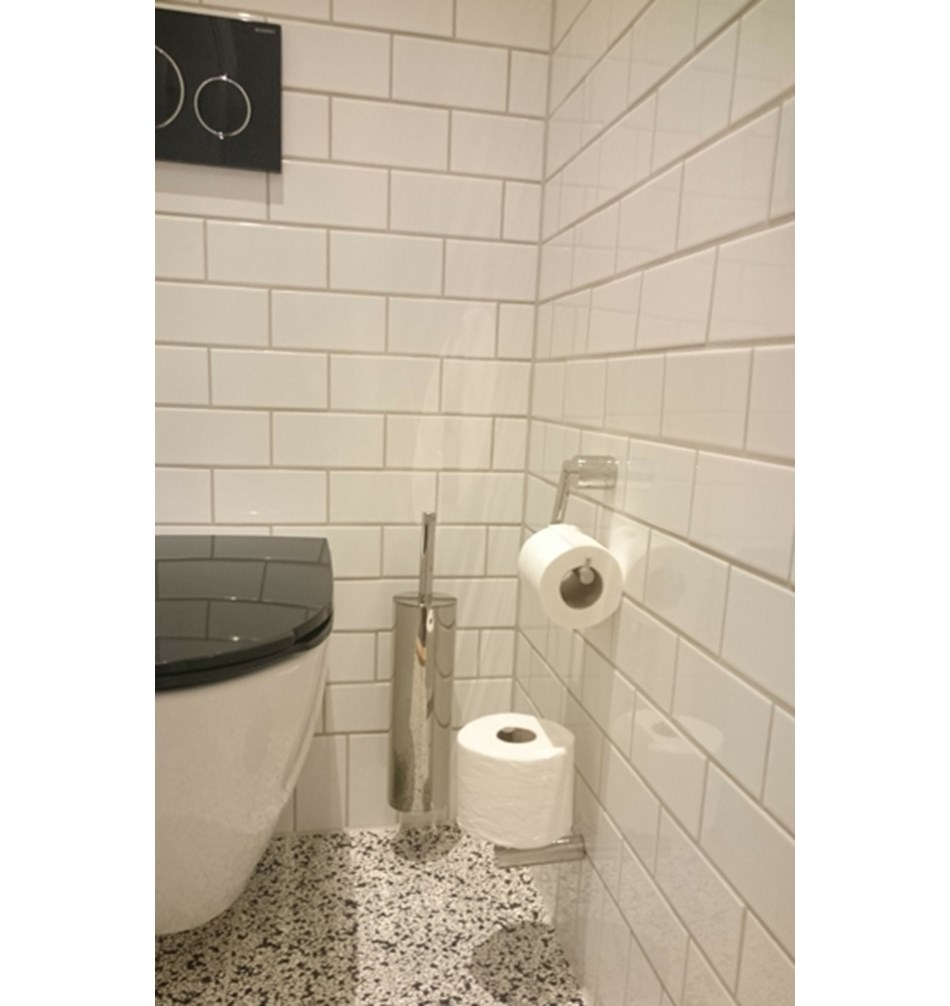 FROST Ершик 2 настенный » полированный Нержавеющая сталь Полированный O1911  - Вид №4