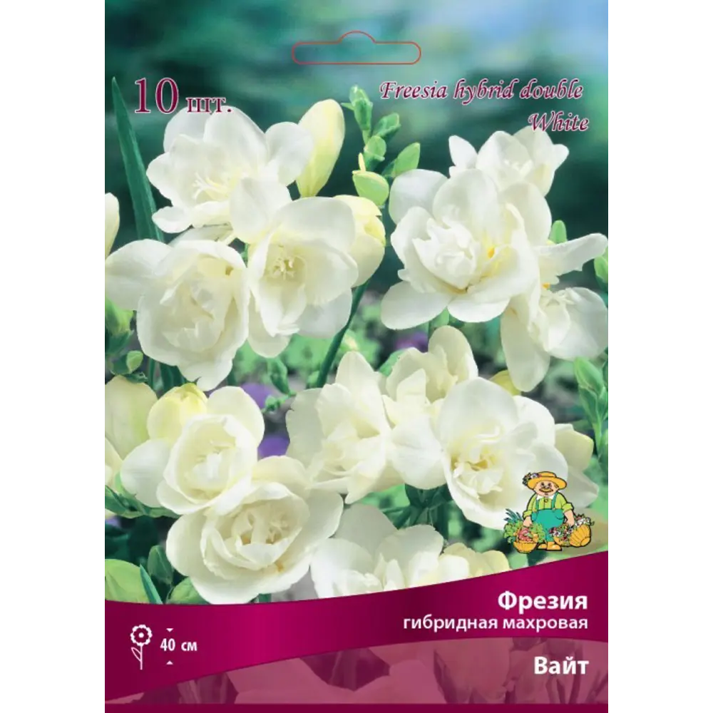 Фрезия гибридная махровая Вайт луковица 5/6 83597221 STLM-2132109 ПОИСК 