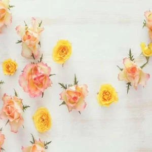 WP01108 Фотообои Verol Фотообои decoline 1х1 м