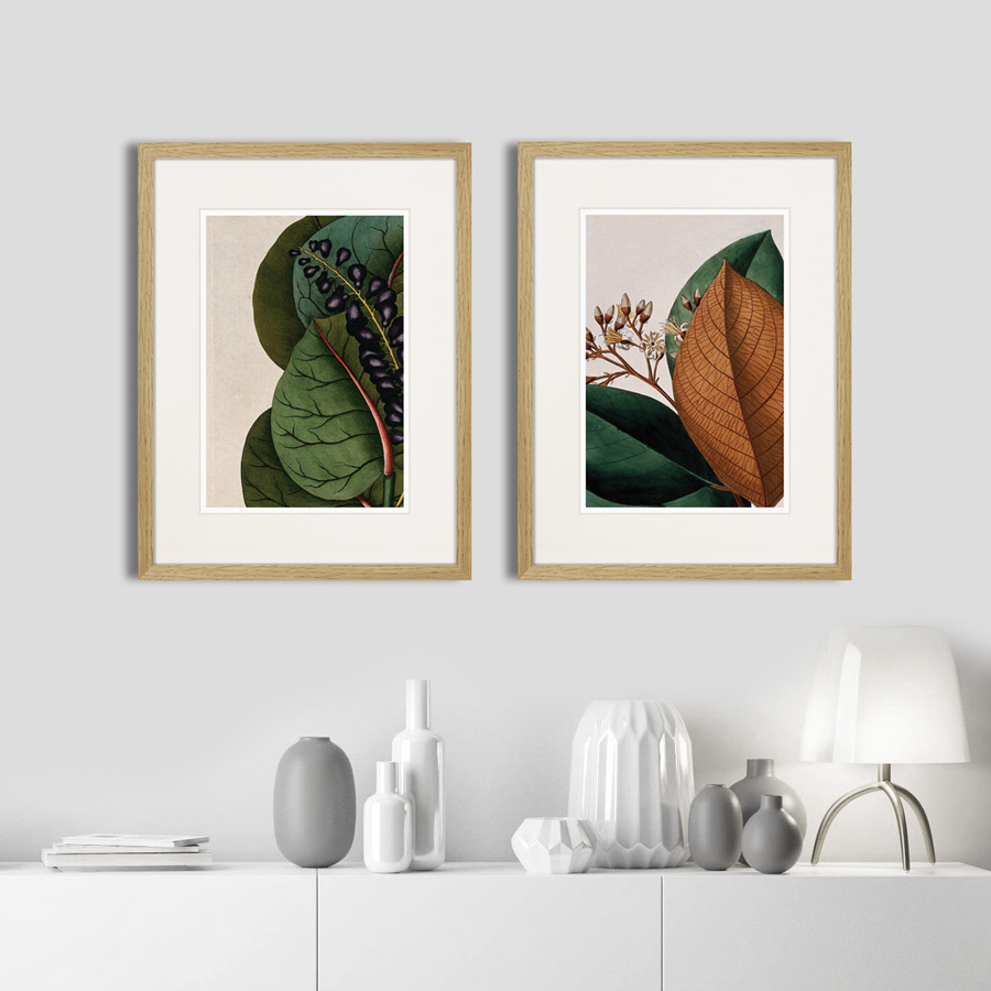 Картина: Exotic plants of the world №14, 1815г. КАРТИНЫ В КВАРТИРУ  264345 Разноцветный  - Вид №2
