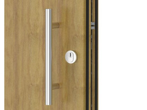 Ручка для входной двери