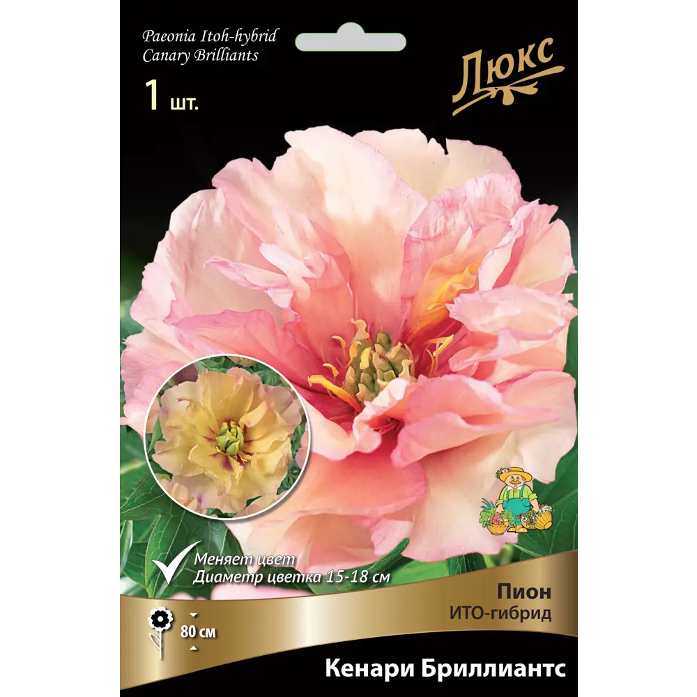 Пион ито-гибрид «Кенари Бриллиантс» разбор 2-3 82661868 STLM-2046242 Santreyd 