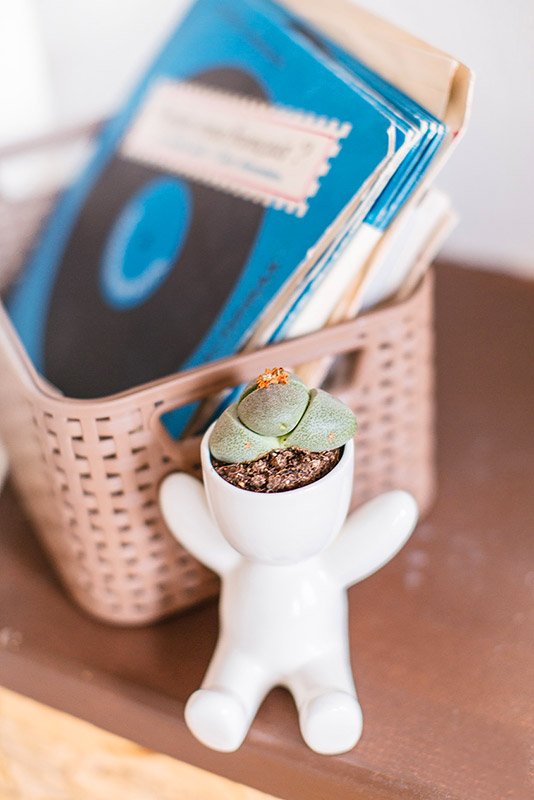 Набор для выращивания eco "Малыш" ЭКОЧЕЛОВЕКИ  254573 Белый  - Вид №2