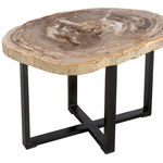 FUBR037 Приставной столик из окаменелого дерева ijlbrown  - Вид №2