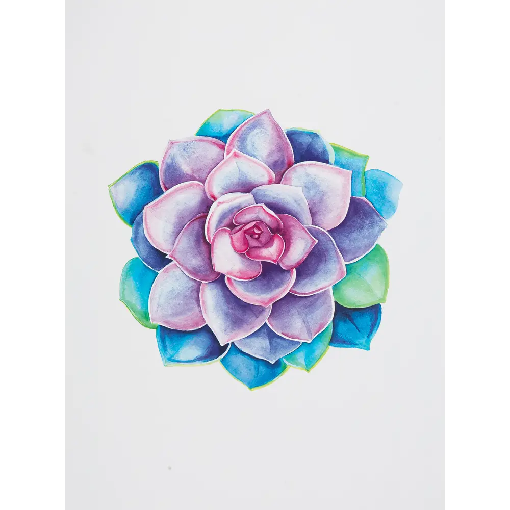 Постер "Суккулент" бумага 30Х40 см Santreyd STLM-2097050