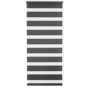 Штора рулонная день-ночь Silver 50x160 см графит 82614439 STLM-2156627
