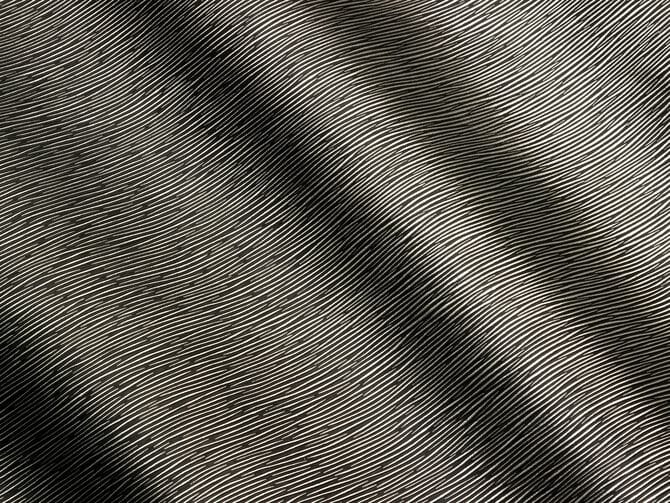 Кожа с рисунком Prodital Leather Pacific ARCH-00104335