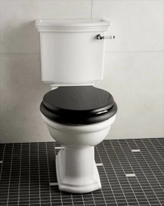 WCCMNET Компакт унитаз с бачком Белый Devon&Devon  Италия