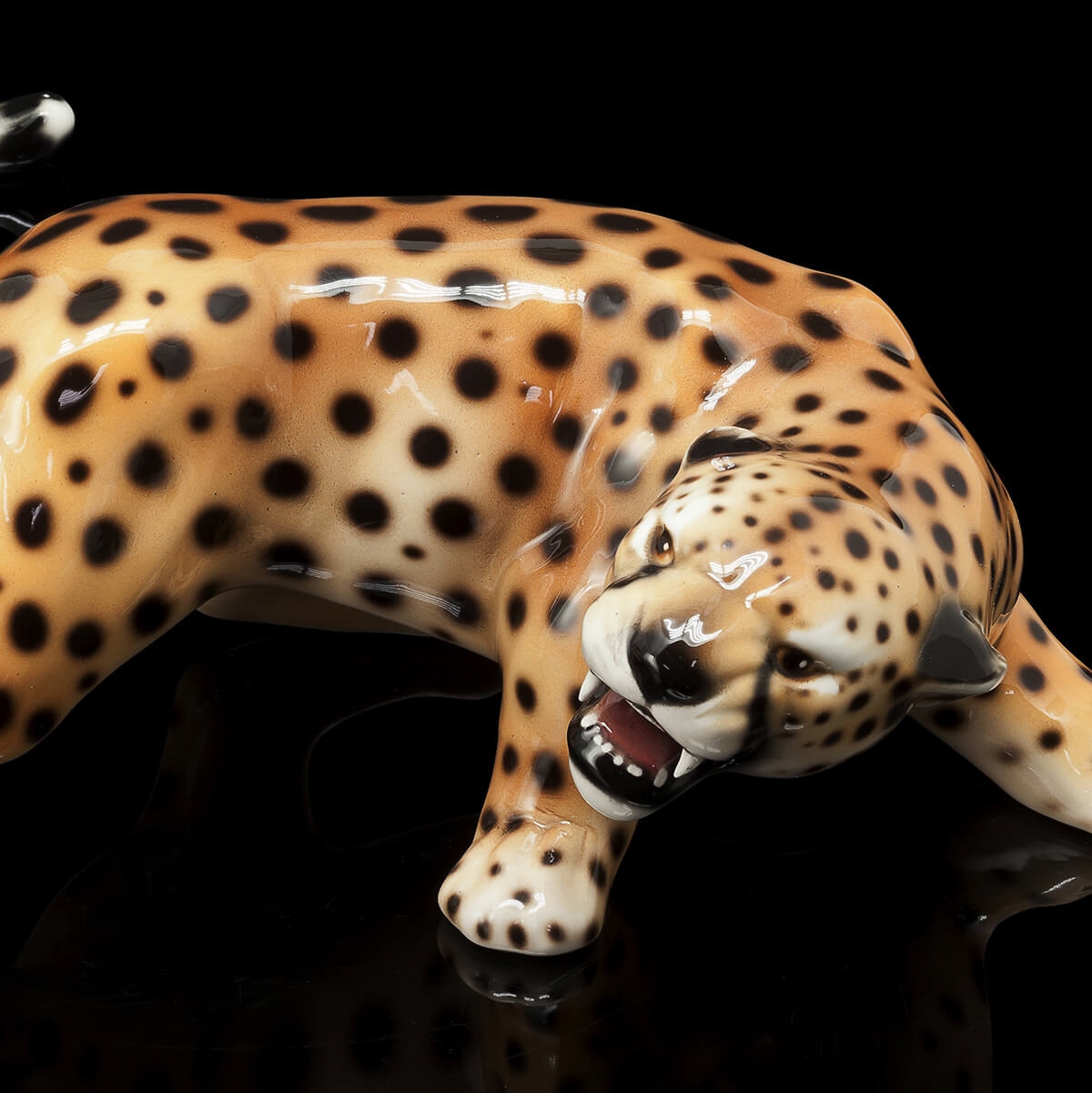 600423,MI ABHIKA НАБОР CHEETAH, 2 ШТ. MIX  - Вид №1