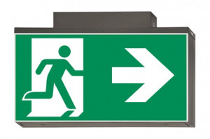 DST-711 Lisu ceiling-mounted Daisalux Светильники аварийные Металлический Серый