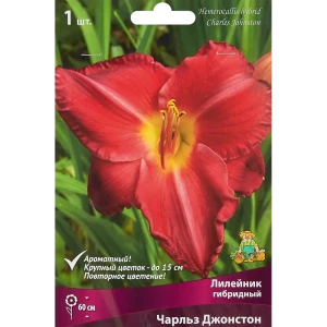 Лилейник гибридный Чарльз Джонстон 85186044 STLM-2079623