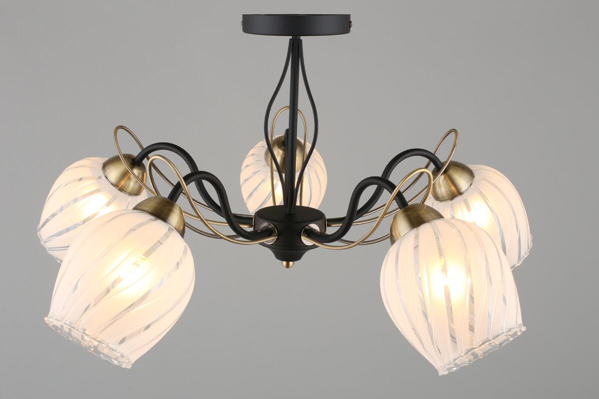 Потолочная люстра Omnilux Garda OML-65507-05 OMNILUX GARDA 328310 Белый;черный - Вид №1