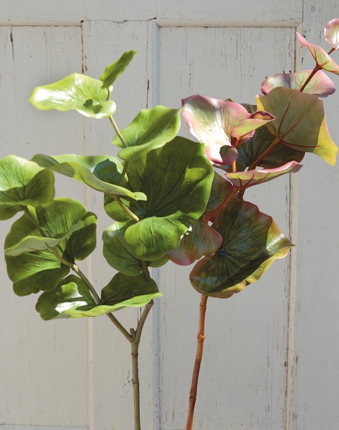 5389 883 a3 Искусственный эвкалиптовый спрей, 71 см, зеленый H-andreas  - Вид №2