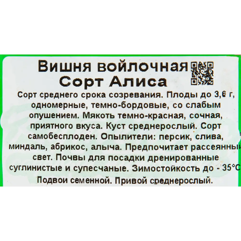 Вишня войлочная «Алиса» C3 высота 140 см 82596990 STLM-2090149 Santreyd  - Вид №1