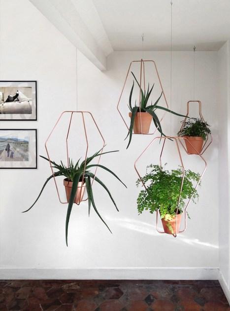 Compagnie Подвесной горшок sun-id-1383729 - Вид №2