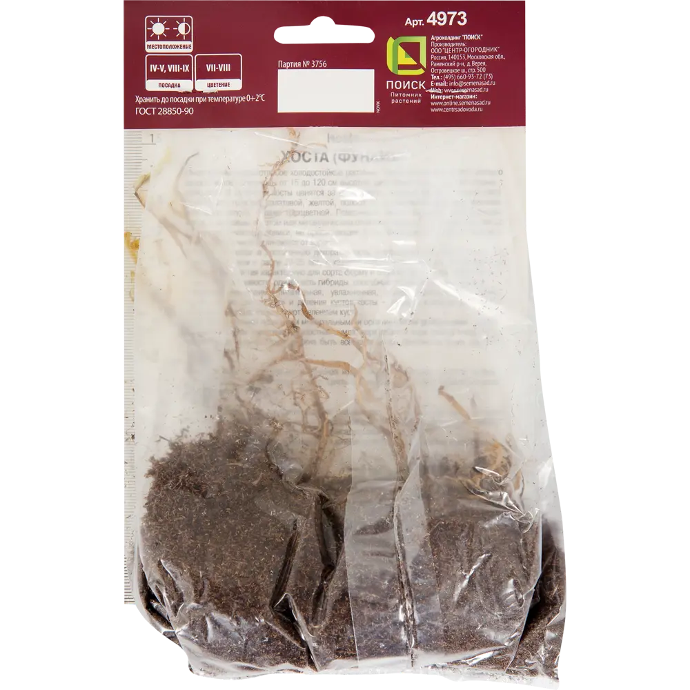 Хоста гибридная «Адорабл», 1 шт Santreyd STLM-2129744 - Вид №1