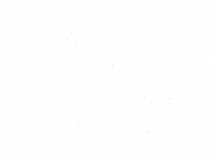 Equipo DRT Разноцветная акриловая ткань для штор Rio