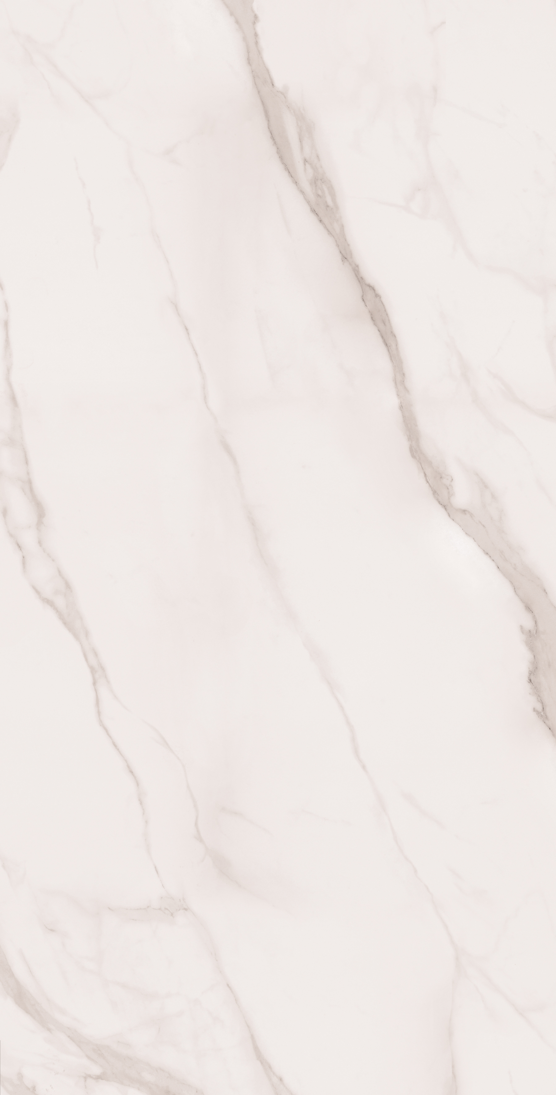 Керамогранит STATUARIO SILK 60х120 Arcadia Ceramica SM1004-A  - Вид №1