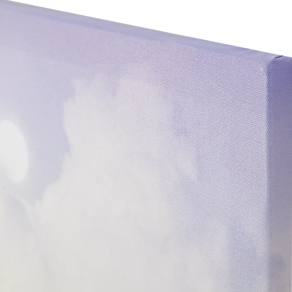 Картина на холсте Дерево 40х50 см Santreyd STLM-2029042 - Вид №1