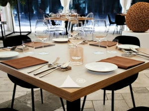 Remor Антибактериальная защитная пленка Younite