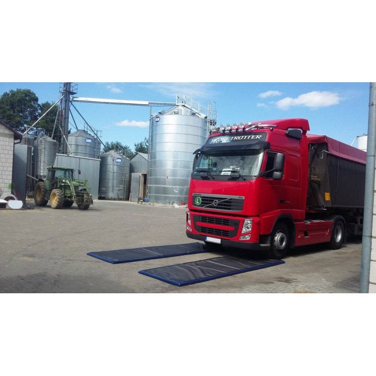 Техно-ЭКО Дезбарьер для дезинфекции автотранспорта Техно-ЭКО 200*200*6 Santreyd 