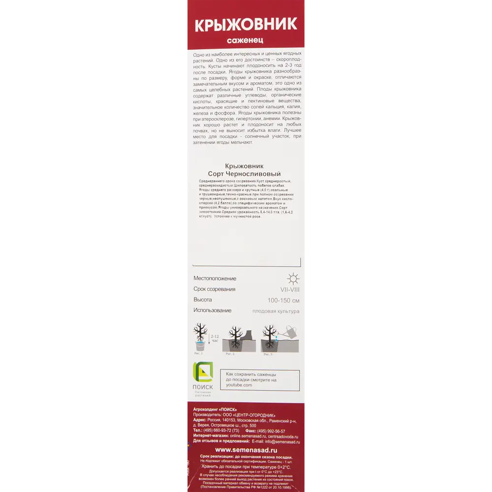 Крыжовник Чёрносливовый в тубе Поиск Инвест 82529016 STLM-2200664 Santreyd  - Вид №1