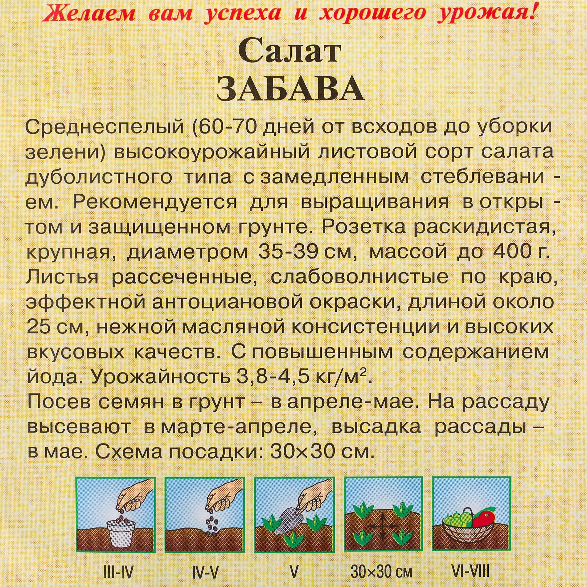 81933330 Семена Салат красный, хрустящий «Забава» 1 г Santreyd  - Вид №2