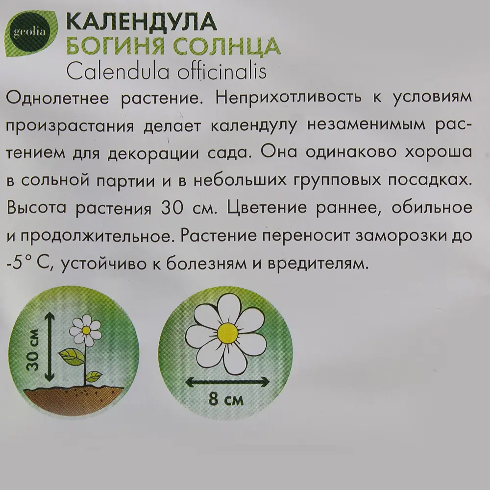 Календула GEOLIA Богиня Солнца - солнечный акцент вашего сада 17585586 STLM-0008391 - Вид №2