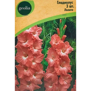 Гладиолус крупноцветковый Лолита Geolia 3 шт 86408548 STLM-2076435