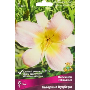 Лилейник гибридный Катерина вудбери луковица I 88295005 STLM-2166426