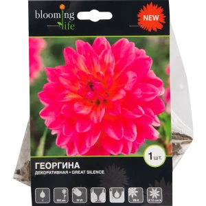 Георгина «Грейт сайленс» 82539319 STLM-2003545