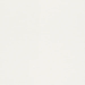 Холст флизелиновый Ra177602 1.06х25 м