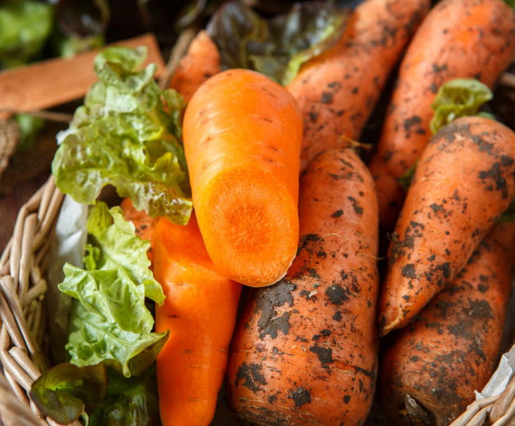 6711 Морковь Вкусляндия  - Вид №1