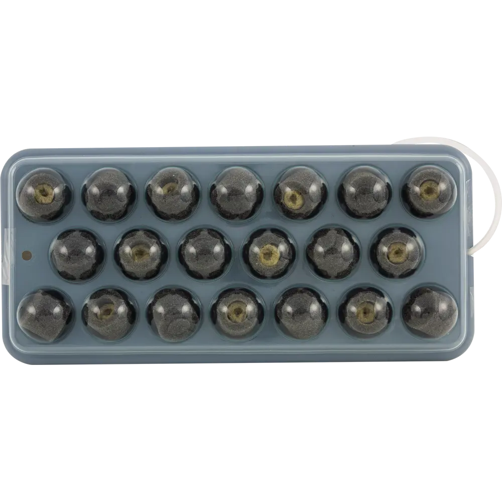 Проращиватель Здоровья клад «Чудо грядка» Santreyd STLM-2149164 - Вид №5