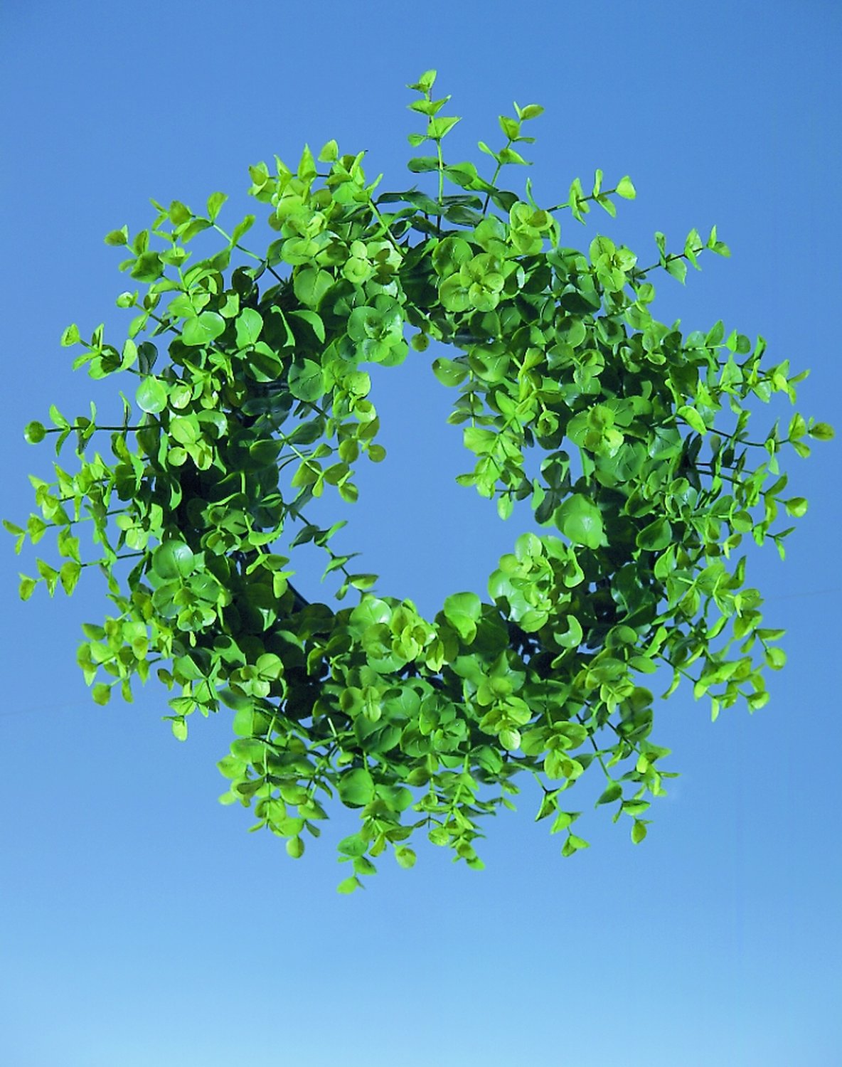 5174 883 a2 Искусственный венок из листьев очитка, Ø 30 см, зеленый H-andreas  - Вид №1