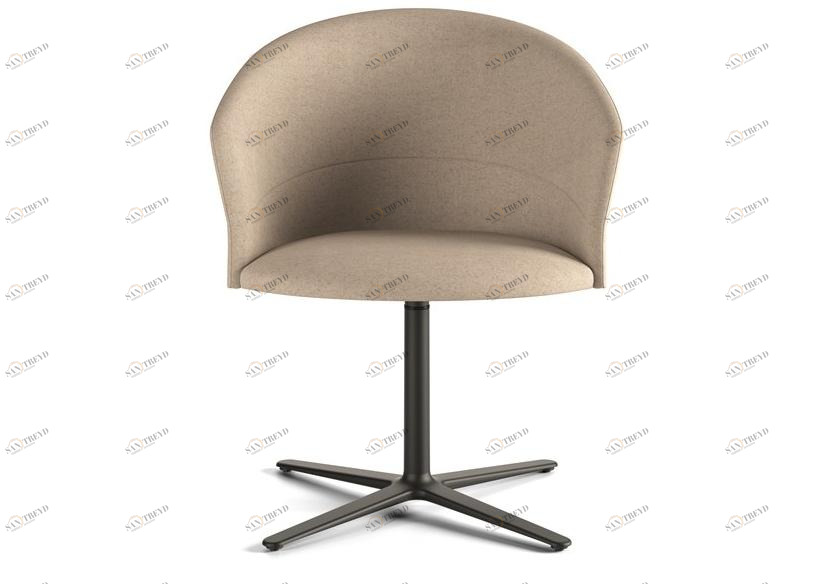 Viccarbe Мягкое кресло с 4-мя спицами Copa sun-id-1364370