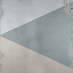 1866/CX38 Картина 1438 Adriani e Rossi