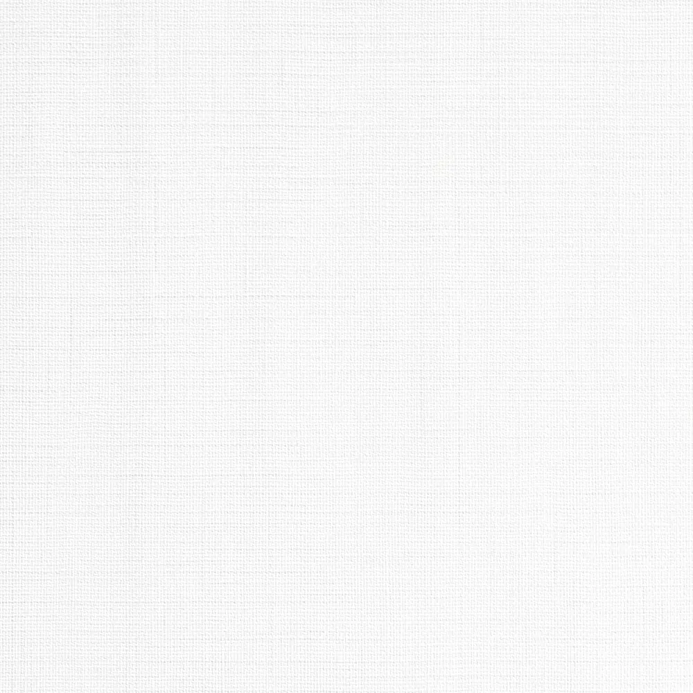 Обои флизелиновые Erismann Opus белые 1.06 м ЭР60355-01 STLM-2185731 - Вид №1