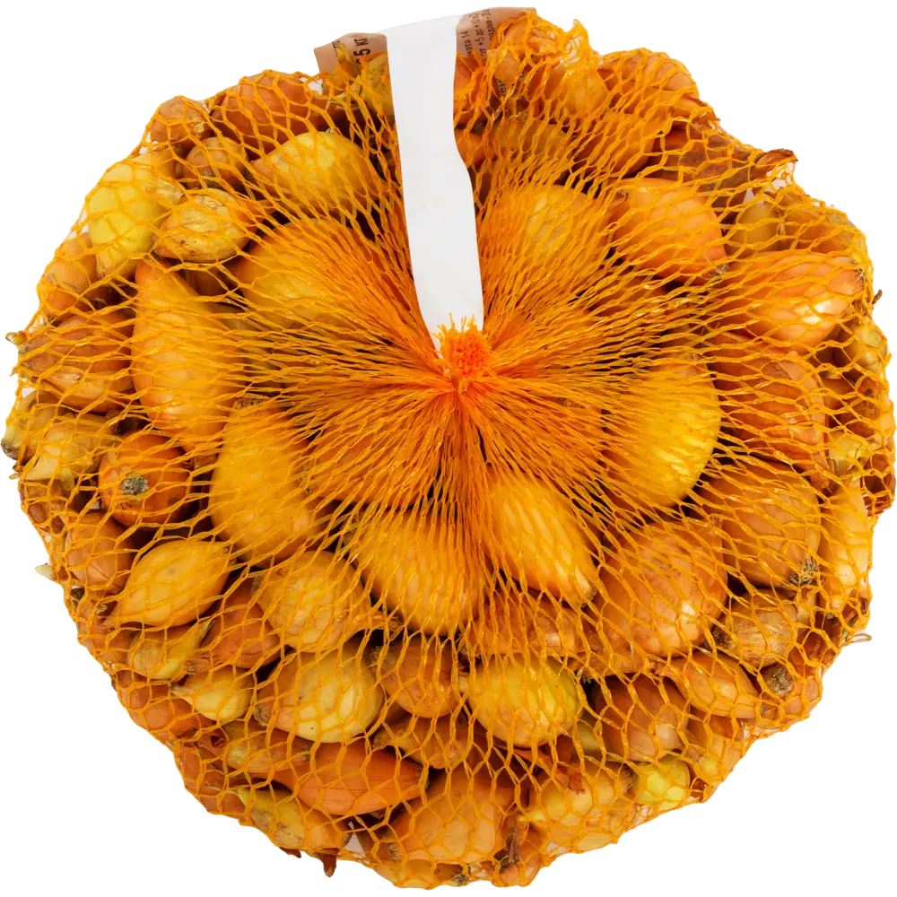 Лук-севок «Шетана», диаметр луковицы 14-21 мм Santreyd STLM-2197386 - Вид №1