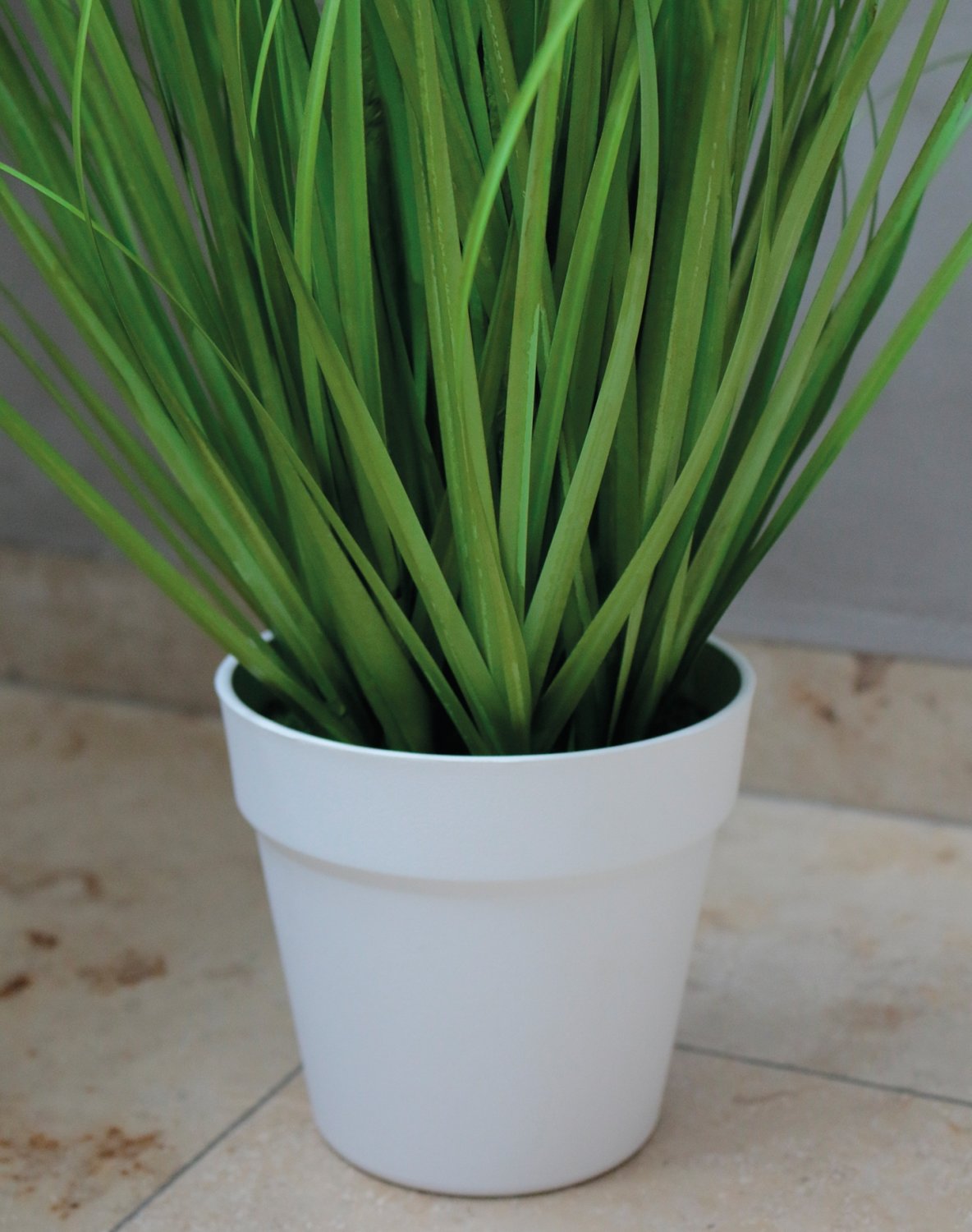 4870 807 a3 Искусственный пучок травы 'Chinese fountain grass', в горшке, 76 см, зелено-белый H-andreas  - Вид №4