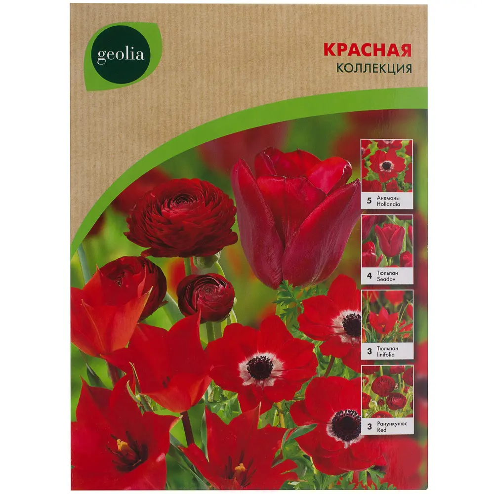 Красная коллекция GEOLIA (15 шт) (28) 18658492 STLM-2139855  - Вид №1